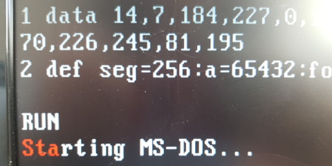 Starting MS-DOS...